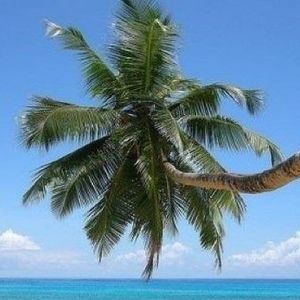 Meet your Posher, Dane